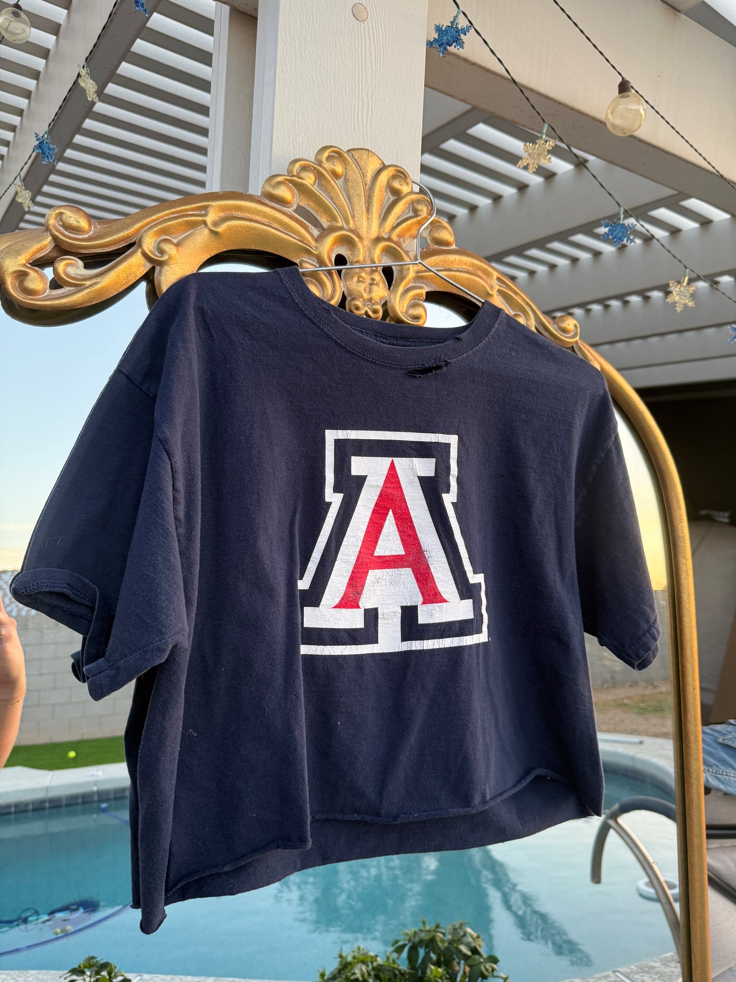 UofA Crop