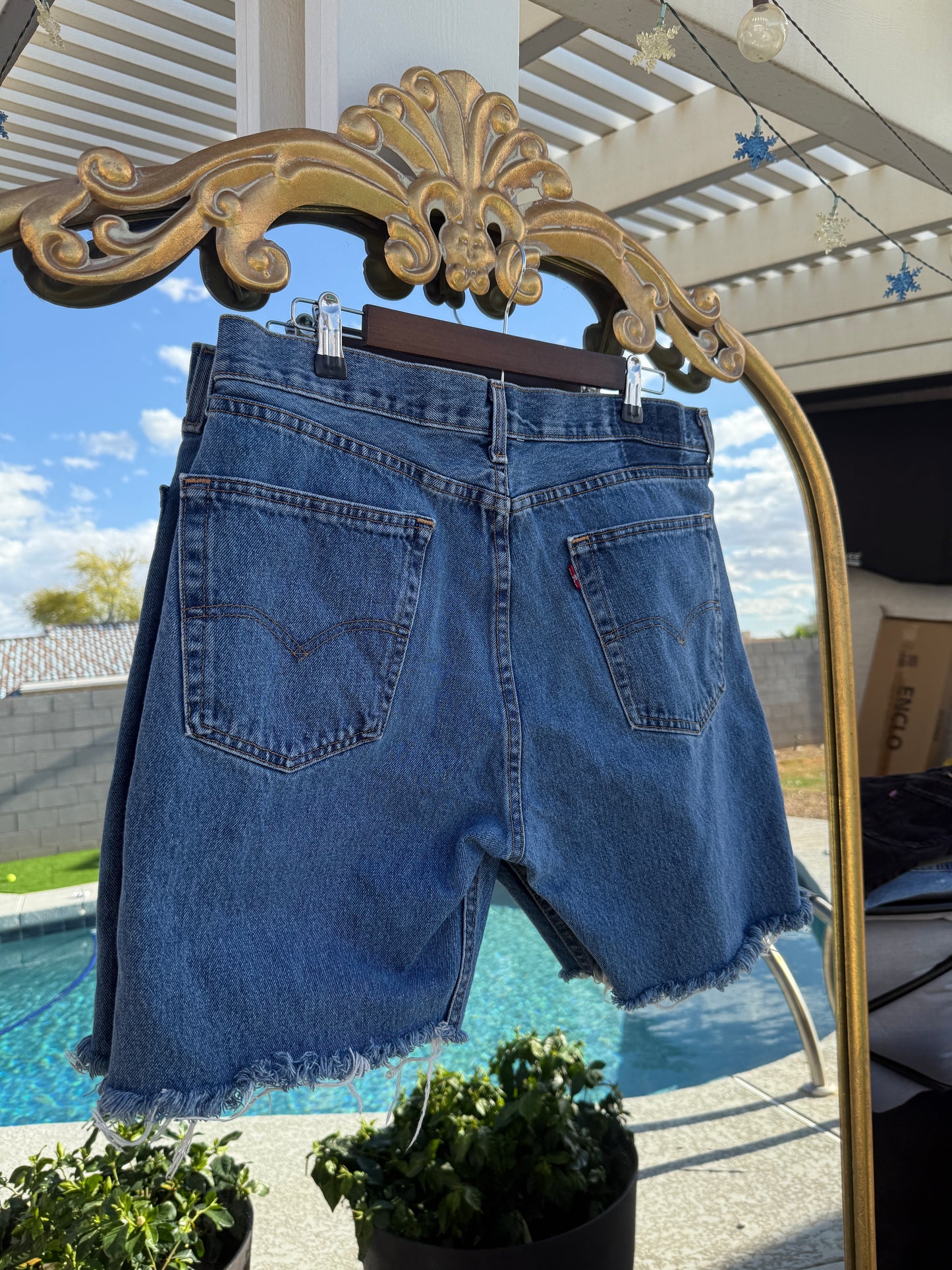 Vintage Levi Short - 31