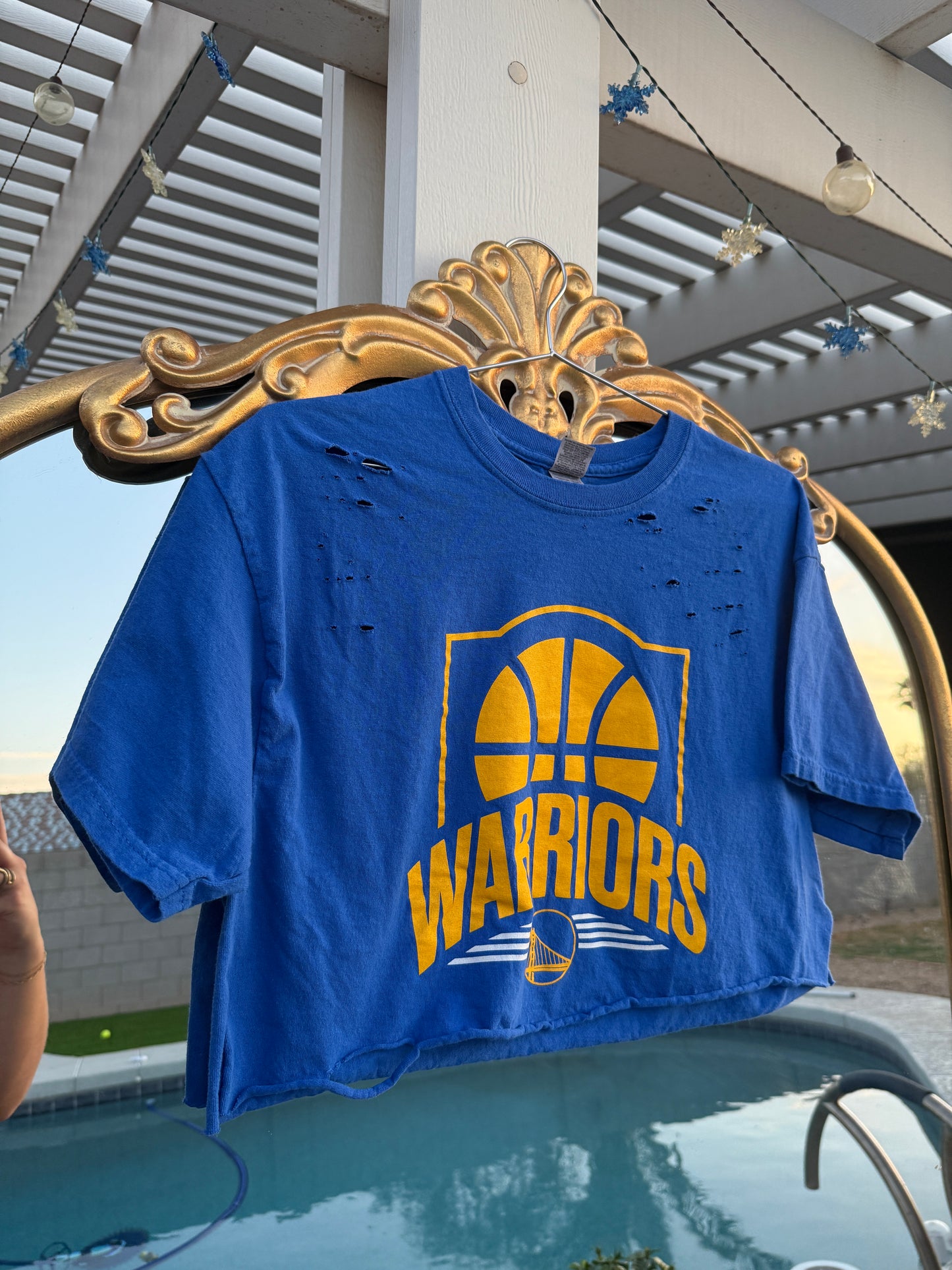 Distressed Warriors Crop