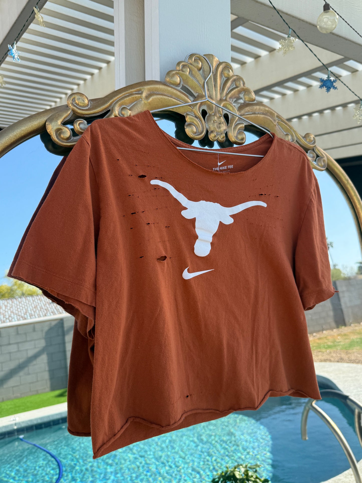 texas crop