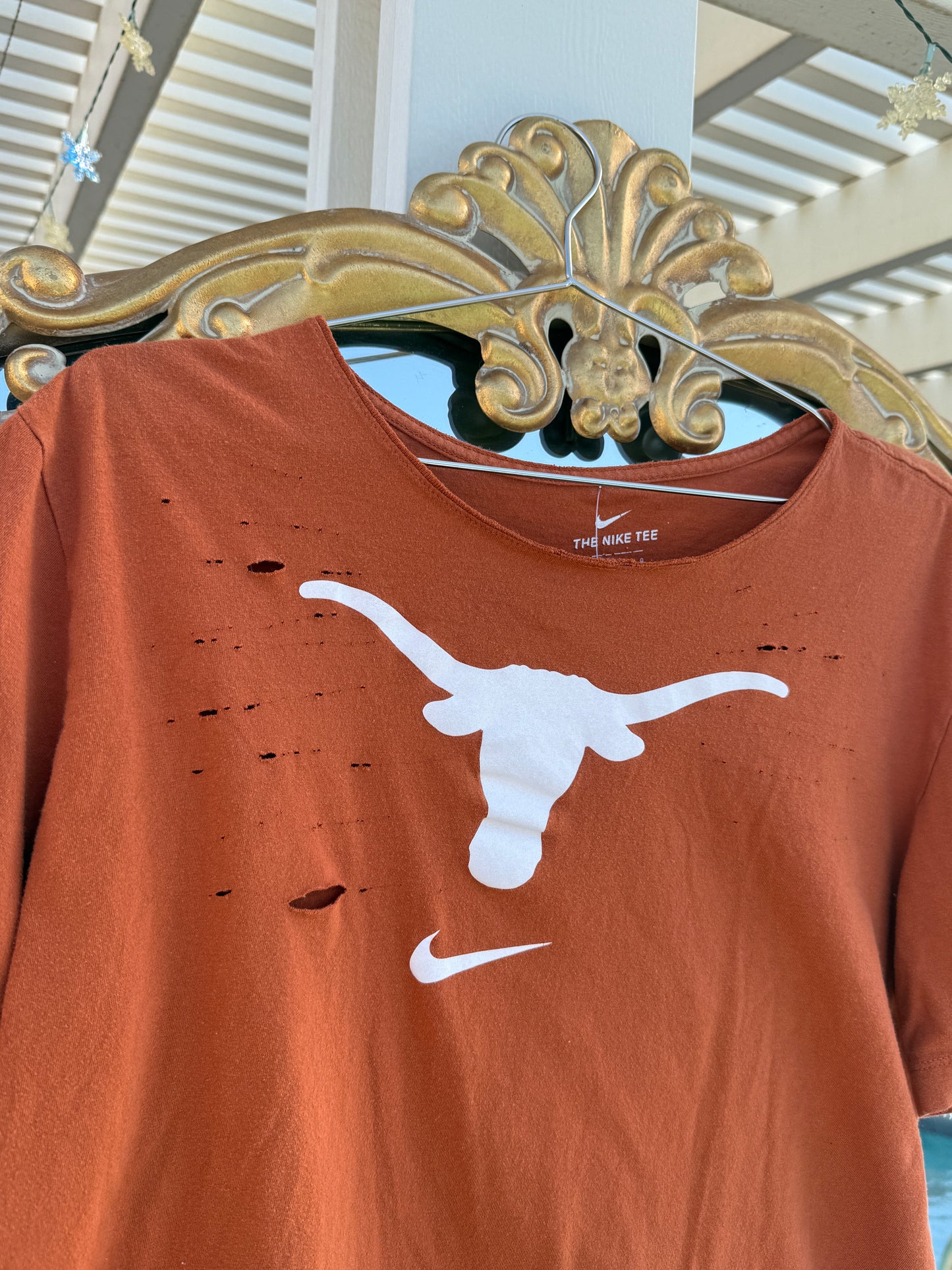 texas crop
