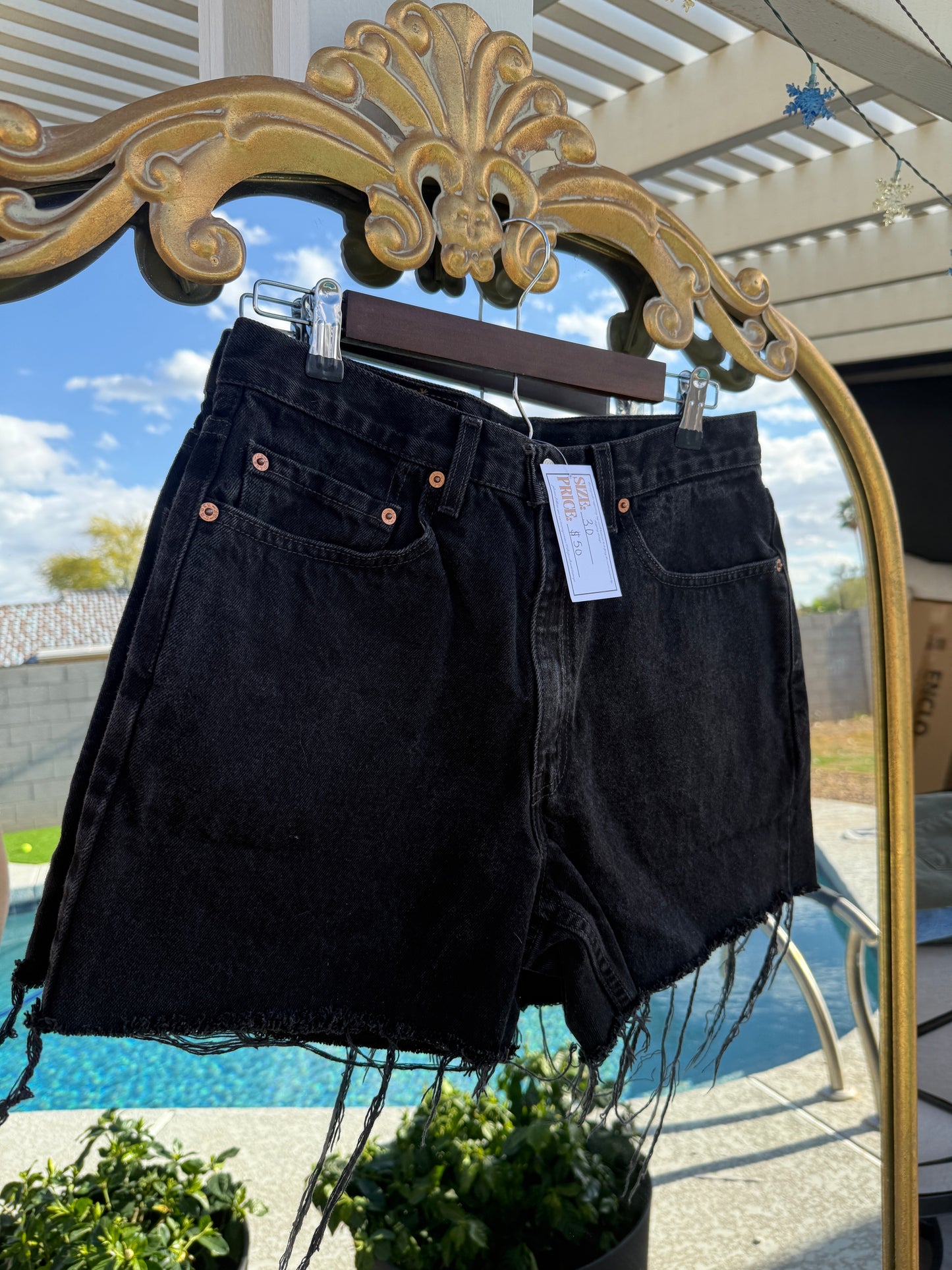 Vintage 550 Levi Shorts - 30